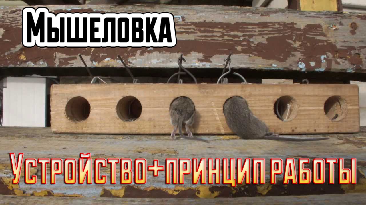 Классическая мышеловка