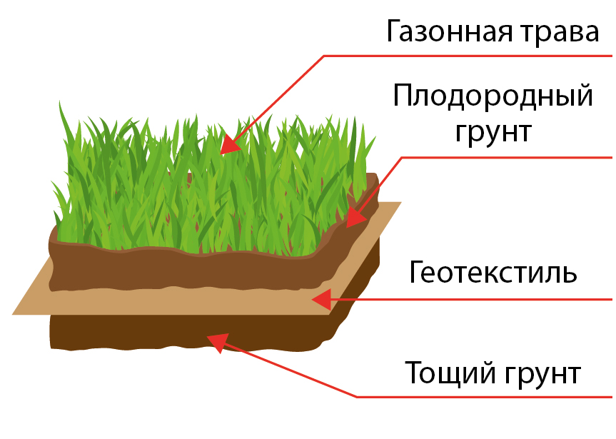 Газон на схеме