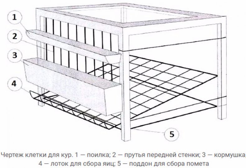 Клетка для кур-несушек