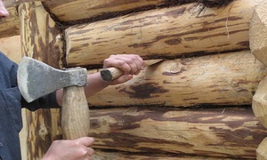 Способ заделки трещин и щелей в древесине срубов с помощью мха