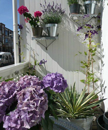 Как создать прекрасный сад на балконе, фото № 12
