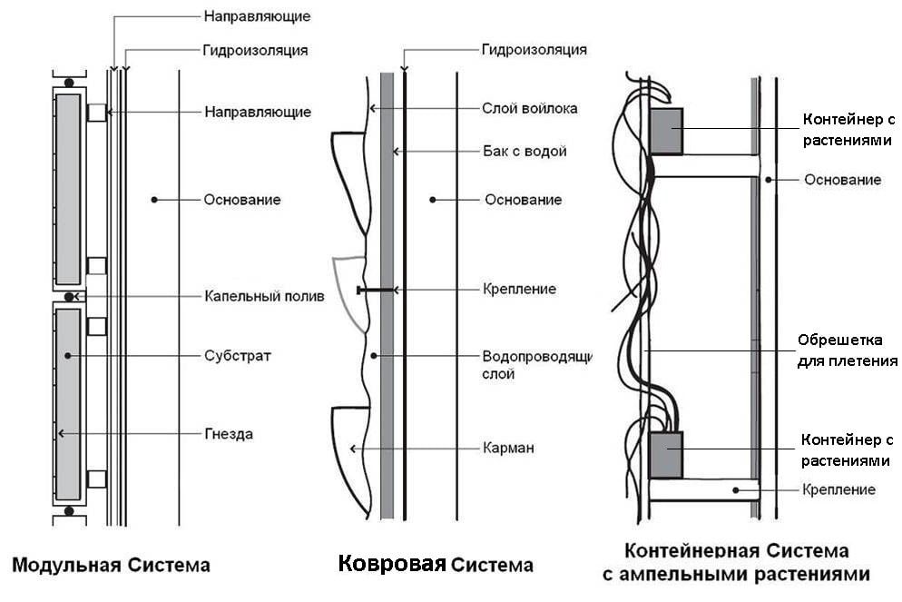 Вертикальный Сад в Квартире и в доме, фото № 7