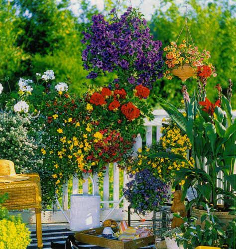 Как создать прекрасный сад на балконе, фото № 28