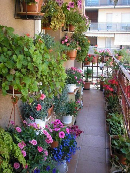 Как создать прекрасный сад на балконе, фото № 11