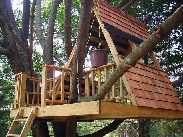 В идеале строить шалаш из досок для детей следует на твердопородных деревьях