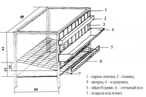 Клетка для кур-несушек своими руками. Сборка по чертежам и размерам