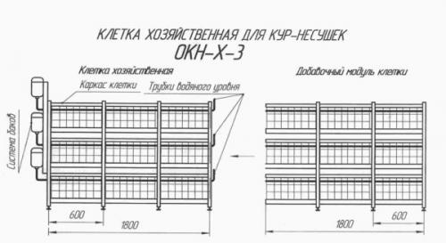 Клетка для кур-несушек своими руками чертежи. Сборка по чертежам и размерам