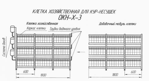 Клетка для кур своими руками чертежи. Конструкция клеток для несушек