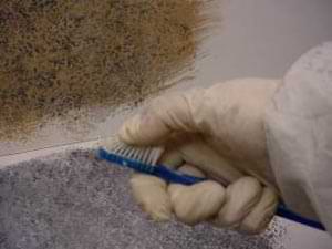 photo demonstrating how to use a toothbrush to apply specks of glaze to a stone faux finish