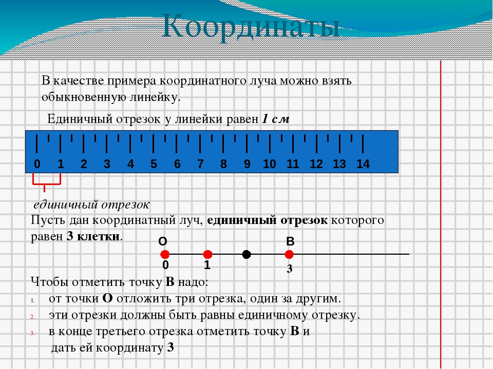 Укажи в поле соответствующую цифру которая отображена на картинке и соответствует описанию