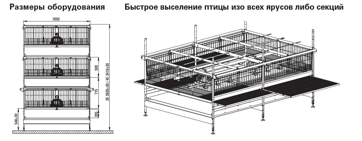 Размер клетки для бройлеров на 10 голов своими руками поэтапно фото