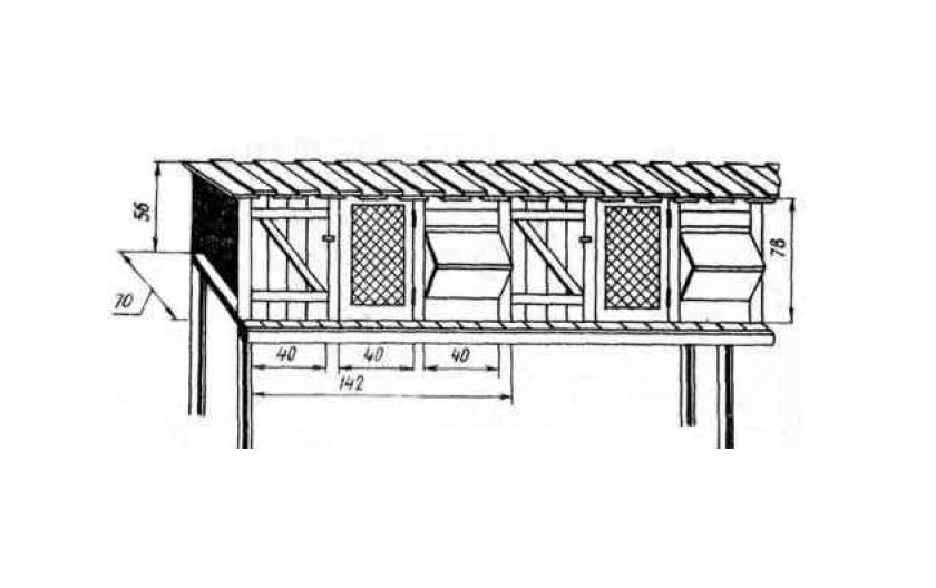 Схема крольчатника