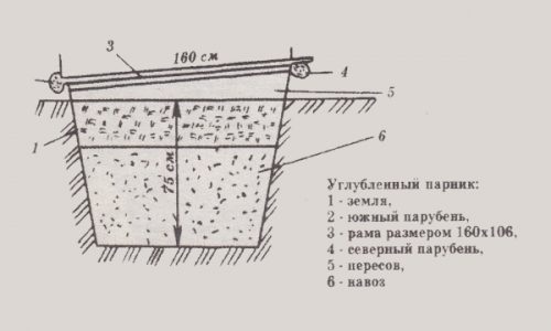 Чертёж углублённого парника из оконной рамы