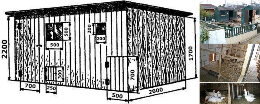 Строительство гусятника