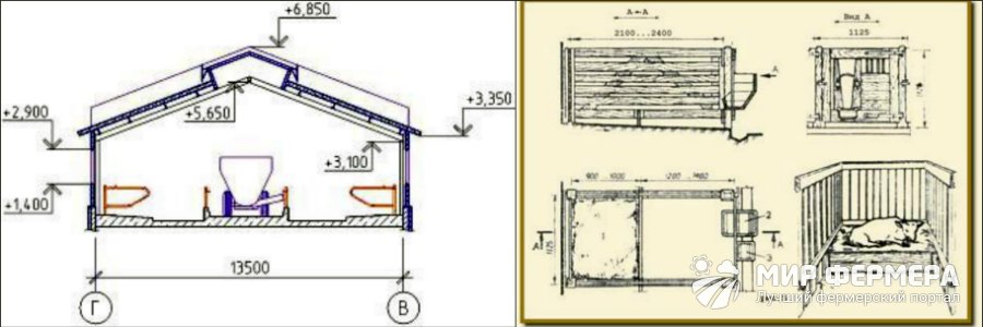 Коровник на 5 голов чертеж