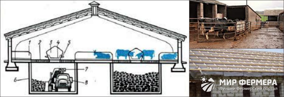 Коровник своими руками