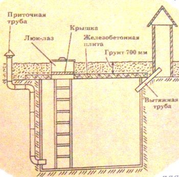 Чертеж подземного погреба