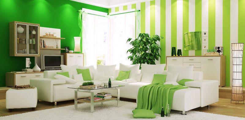 Зелёные обои в интерьере и как подобрать шторы для зелёного цвета стен