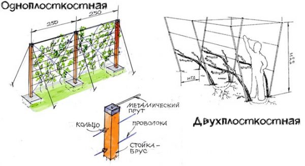 одноплосткостная и двухплоскостная посадка