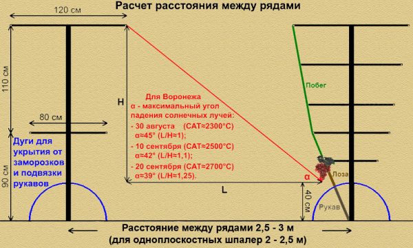 расчет расстояния между рядами