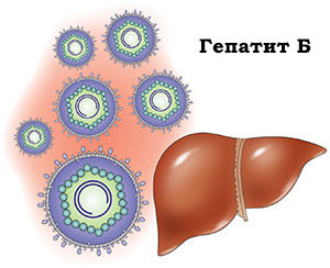 рисунок печени человека и вируса гепатита B