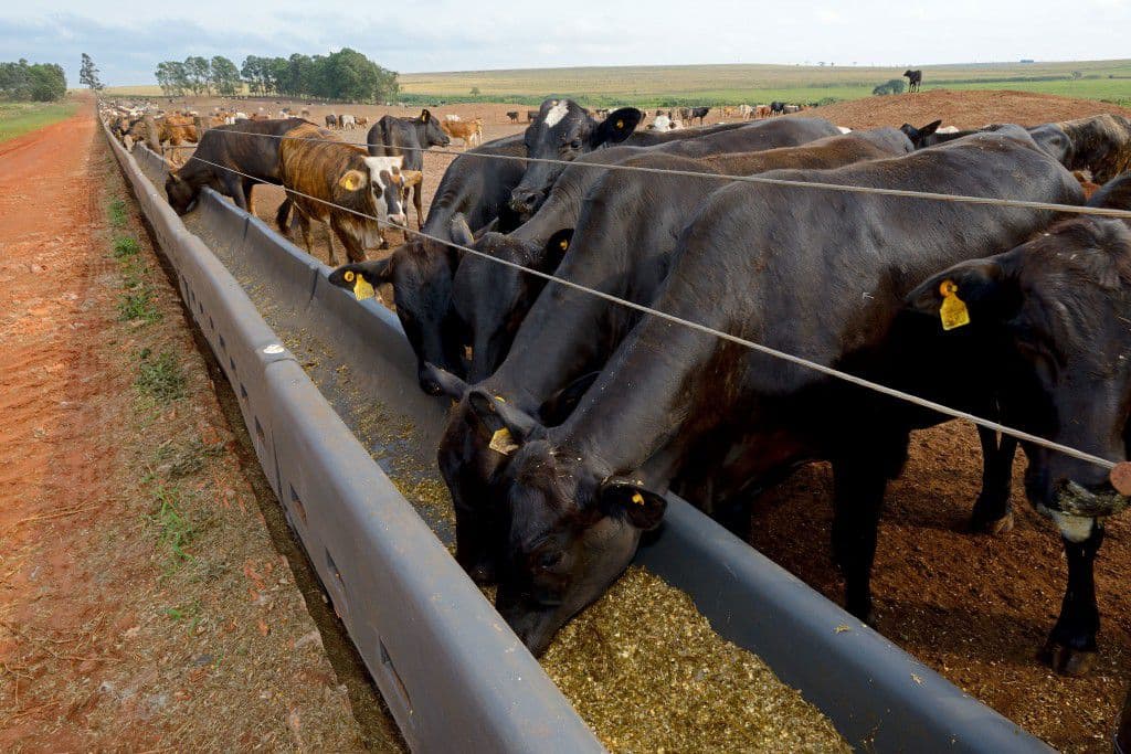 Поилки и кормушки для коров, комплектующие – как выбрать и купить