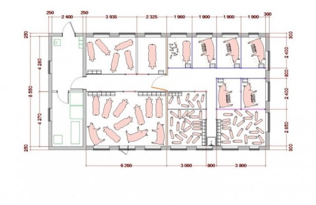 возможные размеры помещения для свиней