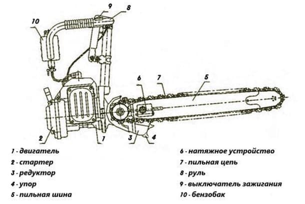 Самостоятельный ремонт бензопилы Дружба