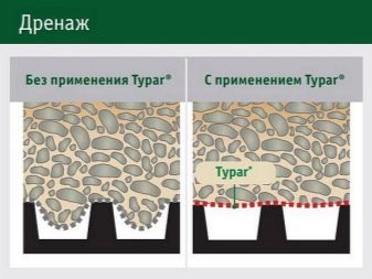 Особенности и разновидности геотекстиля Typar