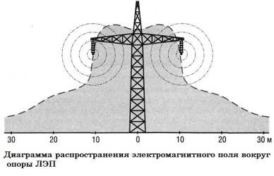 На даче