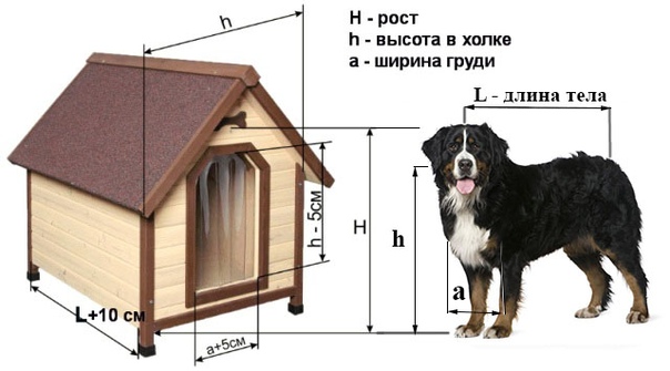 Размеры конуры для немецкой овчарки чертеж фото и описание