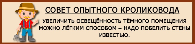 Освещённость тёмного помещения